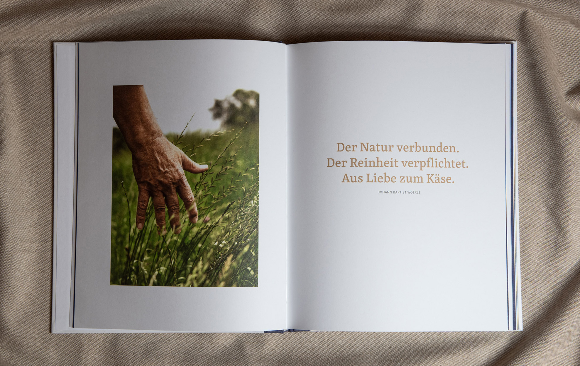 woerle_6_1